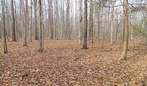 Photo of UNDER CONTRACT!!  99 Acres of Hunting Land For Sale in Culpeper County VA!