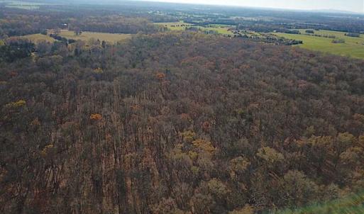 Photo of UNDER CONTRACT!!  99 Acres of Hunting Land For Sale in Culpeper County VA!