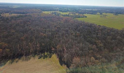 Photo of UNDER CONTRACT!!  99 Acres of Hunting Land For Sale in Culpeper County VA!