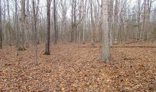 Photo of UNDER CONTRACT!!  99 Acres of Hunting Land For Sale in Culpeper County VA!