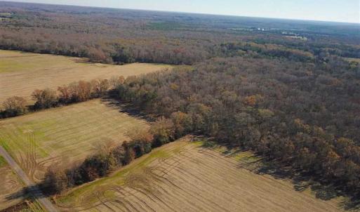 Photo of UNDER CONTRACT!!  99 Acres of Hunting Land For Sale in Culpeper County VA!
