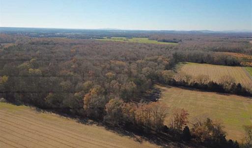 Photo of UNDER CONTRACT!!  99 Acres of Hunting Land For Sale in Culpeper County VA!