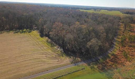 Photo of UNDER CONTRACT!!  99 Acres of Hunting Land For Sale in Culpeper County VA!