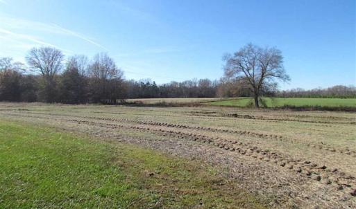 Photo of UNDER CONTRACT!!  99 Acres of Hunting Land For Sale in Culpeper County VA!