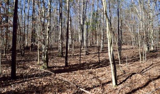 Photo of 48.679 Acres of Hunting / Recreation Land For Sale in Amherst County VA!