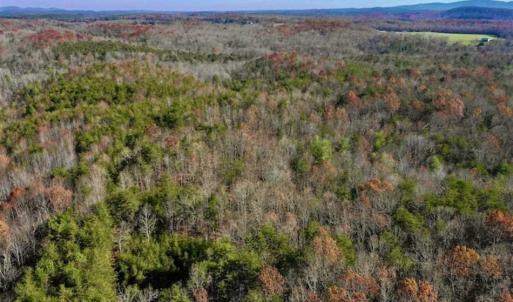 Photo of 48.679 Acres of Hunting / Recreation Land For Sale in Amherst County VA!