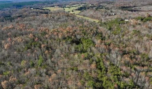 Photo of 48.679 Acres of Hunting / Recreation Land For Sale in Amherst County VA!