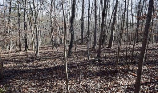 Photo of 48.679 Acres of Hunting / Recreation Land For Sale in Amherst County VA!