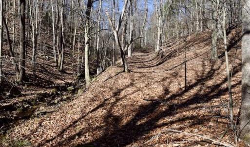 Photo of 48.679 Acres of Hunting / Recreation Land For Sale in Amherst County VA!