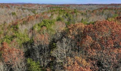 Photo of 48.679 Acres of Hunting / Recreation Land For Sale in Amherst County VA!