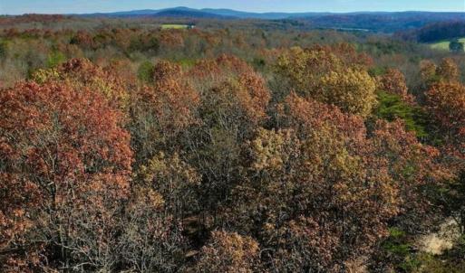 Photo of 48.679 Acres of Hunting / Recreation Land For Sale in Amherst County VA!