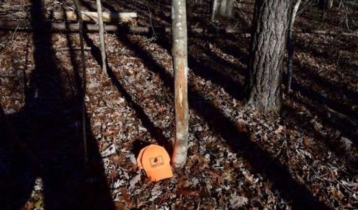 Photo of 48.679 Acres of Hunting / Recreation Land For Sale in Amherst County VA!