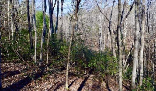 Photo of 48.679 Acres of Hunting / Recreation Land For Sale in Amherst County VA!