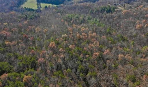 Photo of 48.679 Acres of Hunting / Recreation Land For Sale in Amherst County VA!