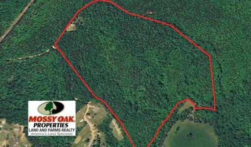 Photo of 48.679 Acres of Hunting / Recreation Land For Sale in Amherst County VA!