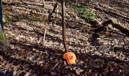 Photo of 48.679 Acres of Hunting / Recreation Land For Sale in Amherst County VA!
