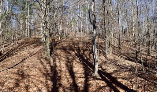 Photo of 48.679 Acres of Hunting / Recreation Land For Sale in Amherst County VA!