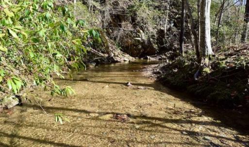 Photo of 48.679 Acres of Hunting / Recreation Land For Sale in Amherst County VA!