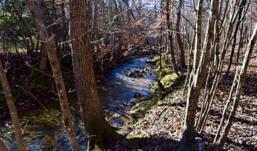 Photo of 48.679 Acres of Hunting / Recreation Land For Sale in Amherst County VA!