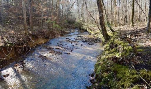 Photo of 48.679 Acres of Hunting / Recreation Land For Sale in Amherst County VA!