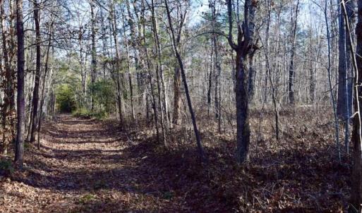 Photo of 48.679 Acres of Hunting / Recreation Land For Sale in Amherst County VA!
