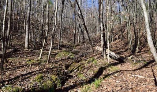 Photo of 48.679 Acres of Hunting / Recreation Land For Sale in Amherst County VA!