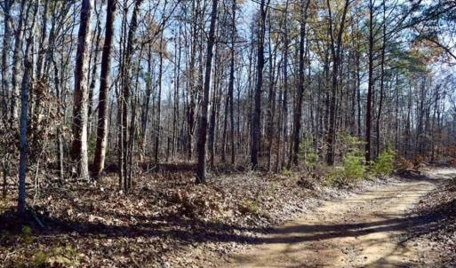 Photo of 48.679 Acres of Hunting / Recreation Land For Sale in Amherst County VA!