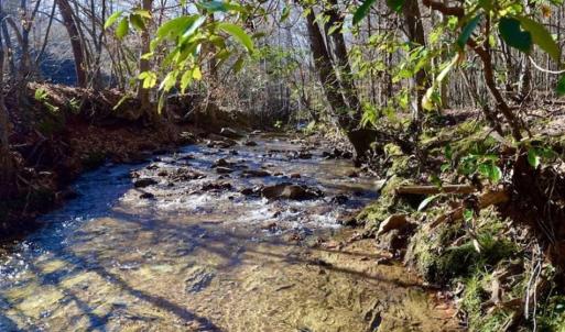 Photo of 48.679 Acres of Hunting / Recreation Land For Sale in Amherst County VA!