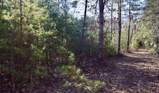 Photo of 48.679 Acres of Hunting / Recreation Land For Sale in Amherst County VA!