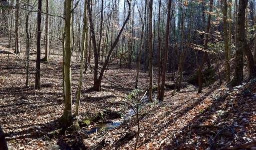 Photo of 48.679 Acres of Hunting / Recreation Land For Sale in Amherst County VA!