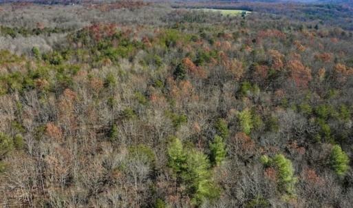 Photo of 48.679 Acres of Hunting / Recreation Land For Sale in Amherst County VA!