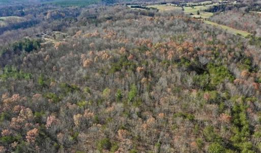 Photo of 48.679 Acres of Hunting / Recreation Land For Sale in Amherst County VA!