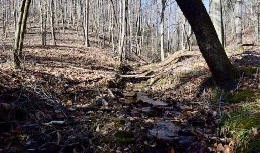 Photo of 48.679 Acres of Hunting / Recreation Land For Sale in Amherst County VA!