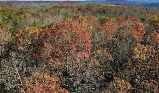 Photo of 48.679 Acres of Hunting / Recreation Land For Sale in Amherst County VA!