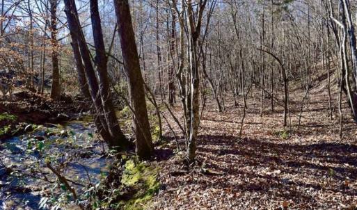 Photo of 48.679 Acres of Hunting / Recreation Land For Sale in Amherst County VA!