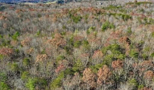 Photo of 48.679 Acres of Hunting / Recreation Land For Sale in Amherst County VA!