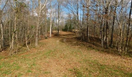 Photo of 19.32 Acres of Residential and Hunting Land For Sale in Bedford County VA!