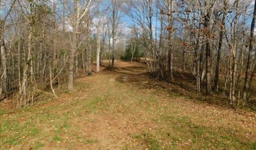 Photo of 19.32 Acres of Residential and Hunting Land For Sale in Bedford County VA!