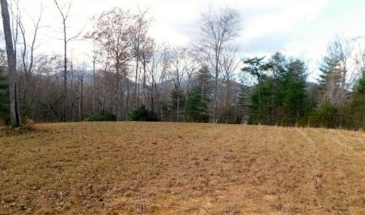 Photo of 19.32 Acres of Residential and Hunting Land For Sale in Bedford County VA!