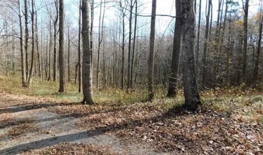 Photo of 19.32 Acres of Residential and Hunting Land For Sale in Bedford County VA!