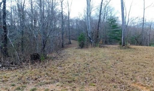 Photo of 19.32 Acres of Residential and Hunting Land For Sale in Bedford County VA!