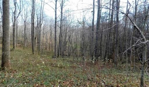 Photo of 19.32 Acres of Residential and Hunting Land For Sale in Bedford County VA!