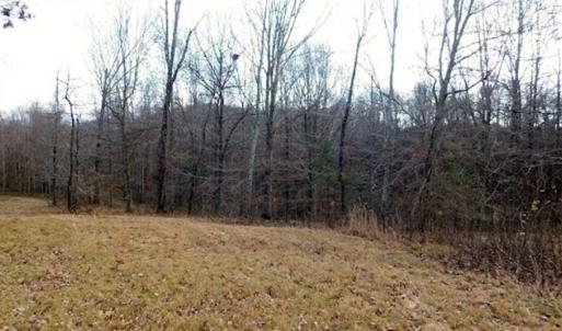 Photo of 19.32 Acres of Residential and Hunting Land For Sale in Bedford County VA!