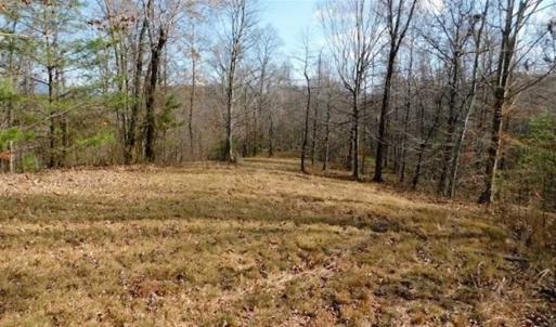 Photo of 19.32 Acres of Residential and Hunting Land For Sale in Bedford County VA!