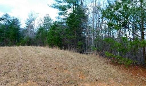 Photo of 19.32 Acres of Residential and Hunting Land For Sale in Bedford County VA!