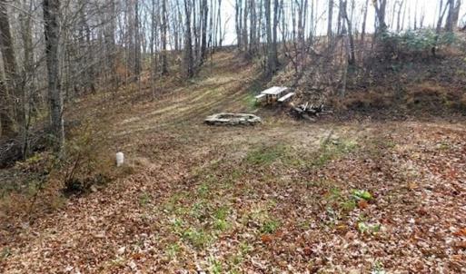 Photo of 19.32 Acres of Residential and Hunting Land For Sale in Bedford County VA!
