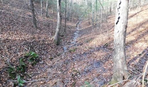 Photo of 19.32 Acres of Residential and Hunting Land For Sale in Bedford County VA!