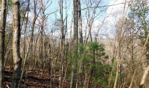 Photo of 19.32 Acres of Residential and Hunting Land For Sale in Bedford County VA!