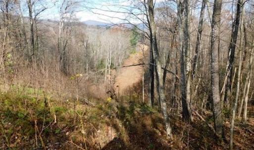 Photo of 19.32 Acres of Residential and Hunting Land For Sale in Bedford County VA!
