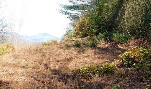 Photo of 19.32 Acres of Residential and Hunting Land For Sale in Bedford County VA!